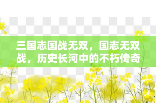 三国志国战无双，国志无双战，历史长河中的不朽传奇