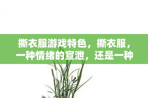 撕衣服游戏特色，撕衣服，一种情绪的宣泄，还是一种文化的误解？