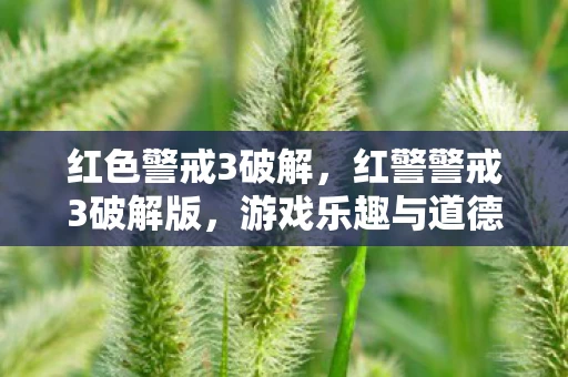 红色警戒3破解，红警警戒3破解版，游戏乐趣与道德边界的探讨