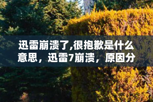 迅雷崩溃了,很抱歉是什么意思，迅雷7崩溃，原因分析与解决方案