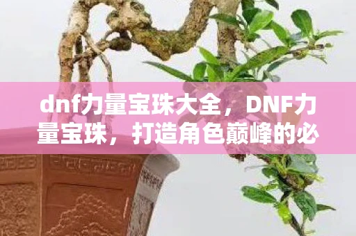 dnf力量宝珠大全，DNF力量宝珠，打造角色巅峰的必备神器