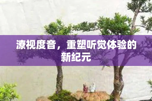 潦视度音，重塑听觉体验的新纪元