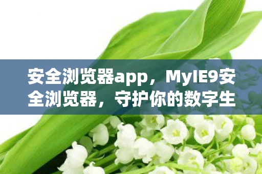 安全浏览器app，MyIE9安全浏览器，守护你的数字生活