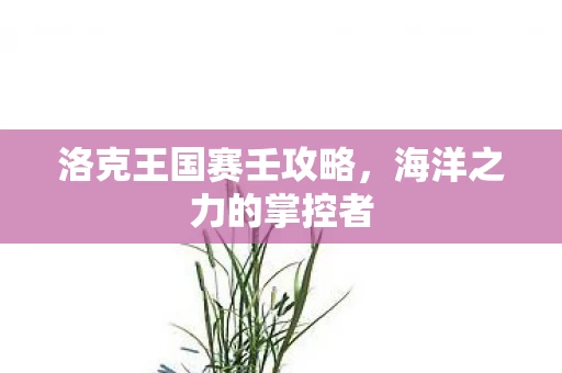 洛克王国赛壬攻略图片