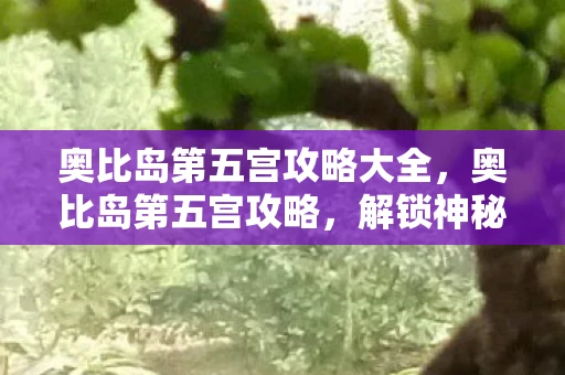 奥比岛第五宫攻略大全，奥比岛第五宫攻略，解锁神秘宝藏，成为岛屿探险家