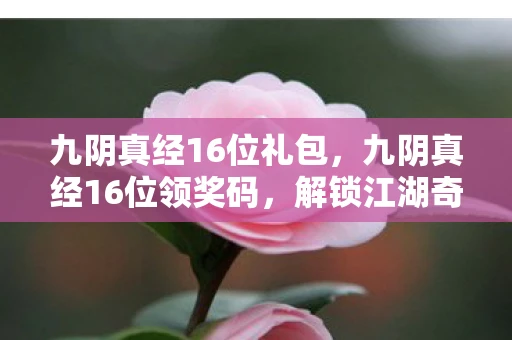 九阴真经16位礼包，九阴真经16位领奖码，解锁江湖奇遇的密钥