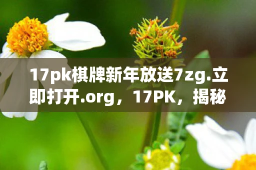17pk棋牌新年放送7zg.立即打开.org，17PK，揭秘数字时代的娱乐新宠
