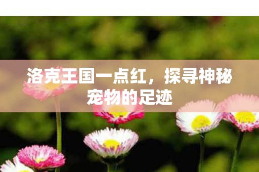 探寻神秘宠物的足迹图片