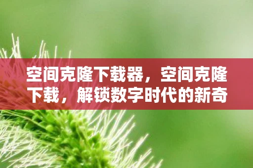 空间克隆下载器，空间克隆下载，解锁数字时代的新奇体验