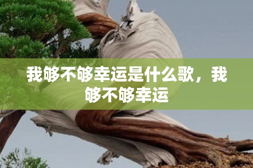 我够不够幸运是什么歌，我够不够幸运