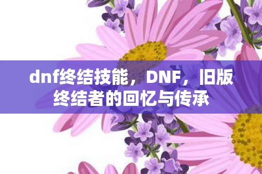 dnf终结技能，DNF，旧版终结者的回忆与传承