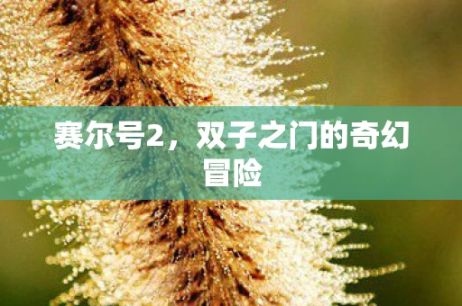 双子之门的奇幻冒险图片