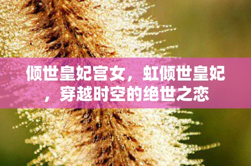 倾世皇妃宫女，虹倾世皇妃，穿越时空的绝世之恋