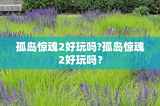 孤岛惊魂2好玩吗?孤岛惊魂2好玩吗？