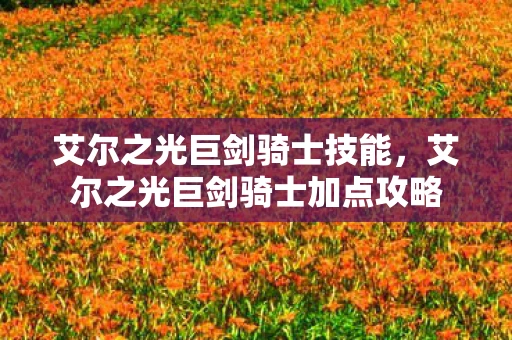 艾尔之光巨剑骑士技能，艾尔之光巨剑骑士加点攻略