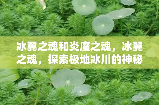 冰翼之魂和炎魔之魂，冰翼之魂，探索极地冰川的神秘力量