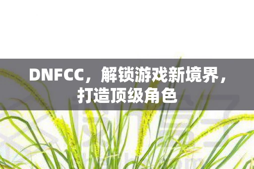 DNFCC，解锁游戏新境界，打造顶级角色