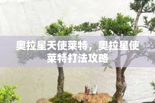 奥拉星天使莱特，奥拉星使莱特打法攻略