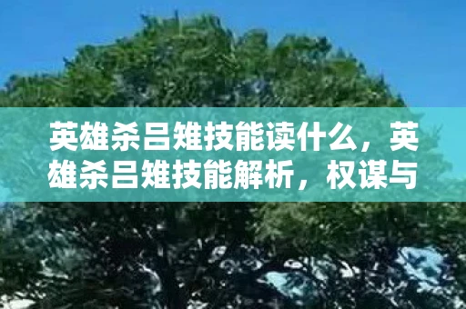 英雄杀吕雉技能读什么，英雄杀吕雉技能解析，权谋与狠辣的双重奏