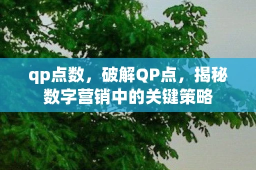 qp点数，破解QP点，揭秘数字营销中的关键策略