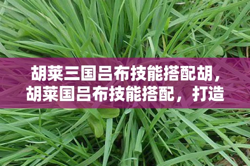 胡莱三国吕布技能搭配胡，胡莱国吕布技能搭配，打造最强战神的策略指南