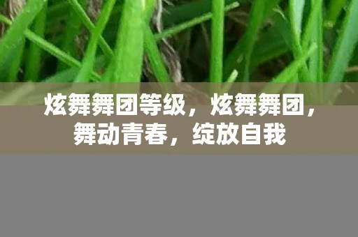 炫舞舞团等级，炫舞舞团，舞动青春，绽放自我