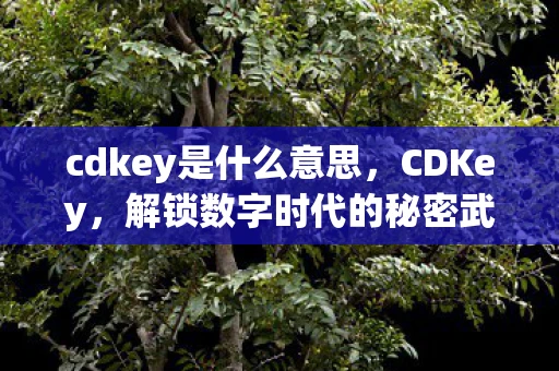 cdkey是什么意思，CDKey，解锁数字时代的秘密武器