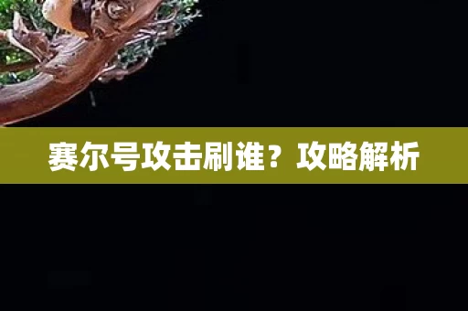 赛尔号攻击刷谁图片