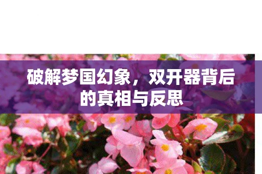 破解梦国幻象，双开器背后的真相与反思