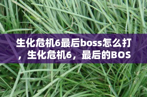 生化危机6最后boss怎么打，生化危机6，最后的BOSS战