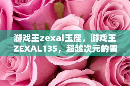游戏王zexal玉座，游戏王ZEXAL135，超越次元的冒险