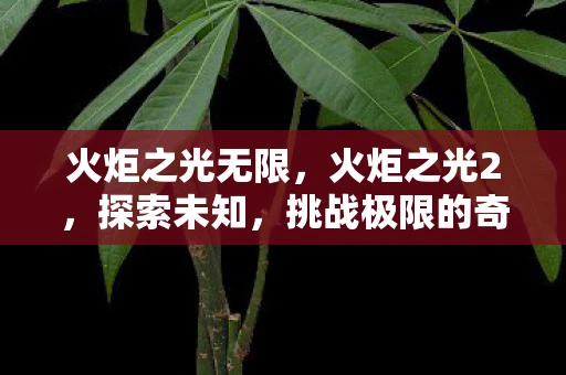 火炬之光无限，火炬之光2，探索未知，挑战极限的奇幻之旅