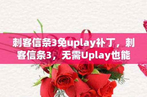 刺客信条3免uplay补丁，刺客信条3，无需Uplay也能畅享游戏魅力
