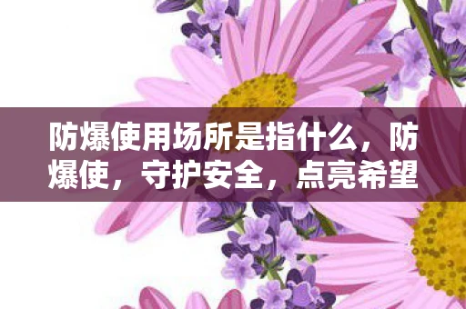 防爆使用场所是指什么，防爆使，守护安全，点亮希望