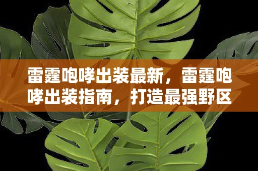 雷霆咆哮出装最新，雷霆咆哮出装指南，打造最强野区霸主