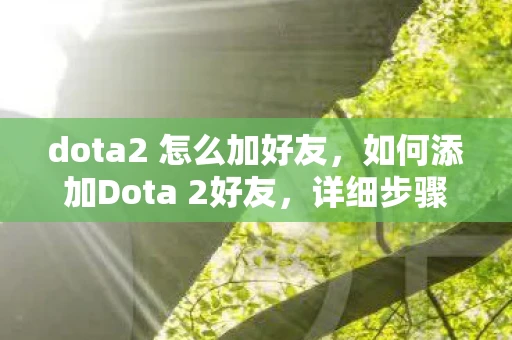 dota2 怎么加好友，如何添加Dota 2好友，详细步骤与注意事项
