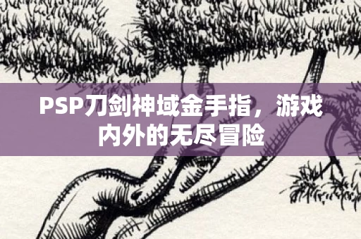 PSP刀剑神域金手指图片