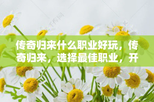 传奇归来什么职业好玩，传奇归来，选择最佳职业，开启你的传奇之旅