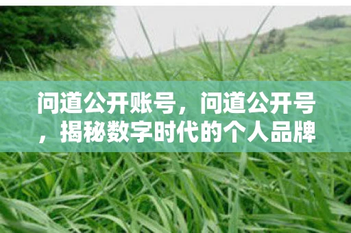 问道公开账号，问道公开号，揭秘数字时代的个人品牌构建
