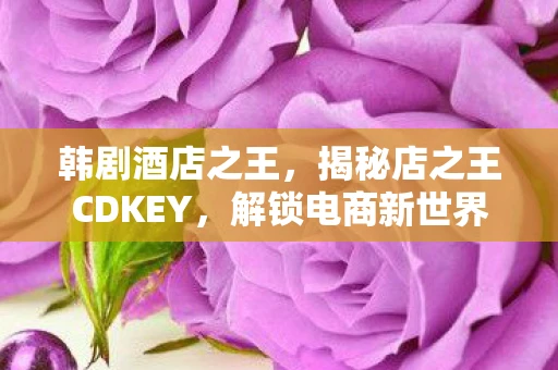 韩剧酒店之王，揭秘店之王CDKEY，解锁电商新世界的神秘钥匙