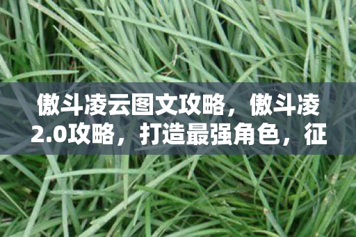 傲斗凌云图文攻略，傲斗凌2.0攻略，打造最强角色，征服无尽挑战