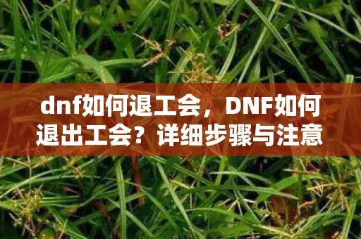 dnf如何退工会，DNF如何退出工会？详细步骤与注意事项