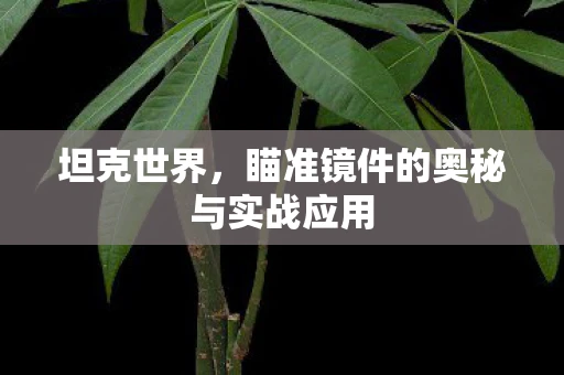 坦克世界，瞄准镜件的奥秘与实战应用