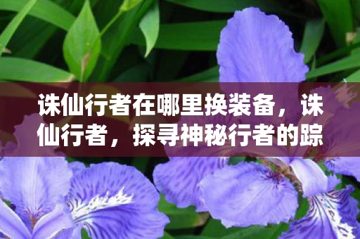 诛仙行者在哪里换装备，诛仙行者，探寻神秘行者的踪迹