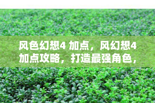 风色幻想4 加点，风幻想4加点攻略，打造最强角色，畅游幻想世界