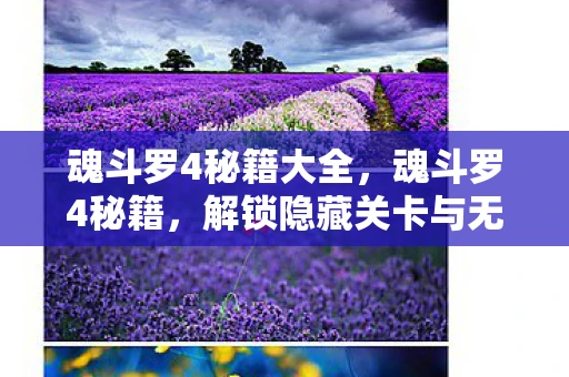 魂斗罗4秘籍大全，魂斗罗4秘籍，解锁隐藏关卡与无限生命