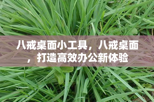 八戒桌面小工具，八戒桌面，打造高效办公新体验