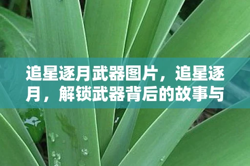 追星逐月武器图片，追星逐月，解锁武器背后的故事与魅力