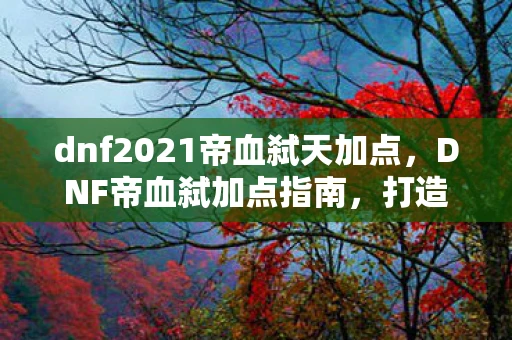dnf2021帝血弑天加点，DNF帝血弑加点指南，打造最强战斗力的关键