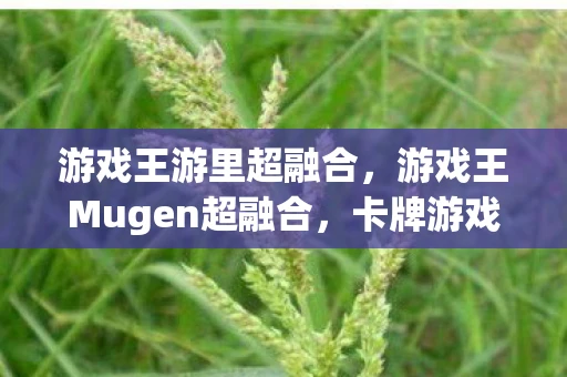 游戏王游里超融合，游戏王Mugen超融合，卡牌游戏的未来探索